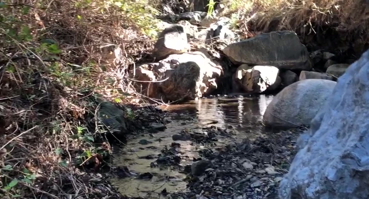 Small Creek